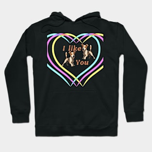 I lke you Hoodie